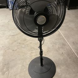 Lasko Fan 
