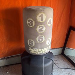 Century Wavemaster Super X punching bag
