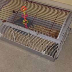 Cage