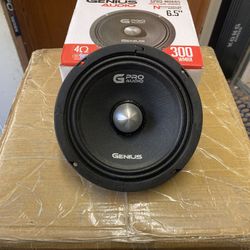 New 6.5” Genius Audio Neodymium Midrange Loudspeaker $70 Each 