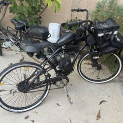 4 Stroke Beach Cruiser