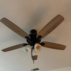 Ceiling Fan