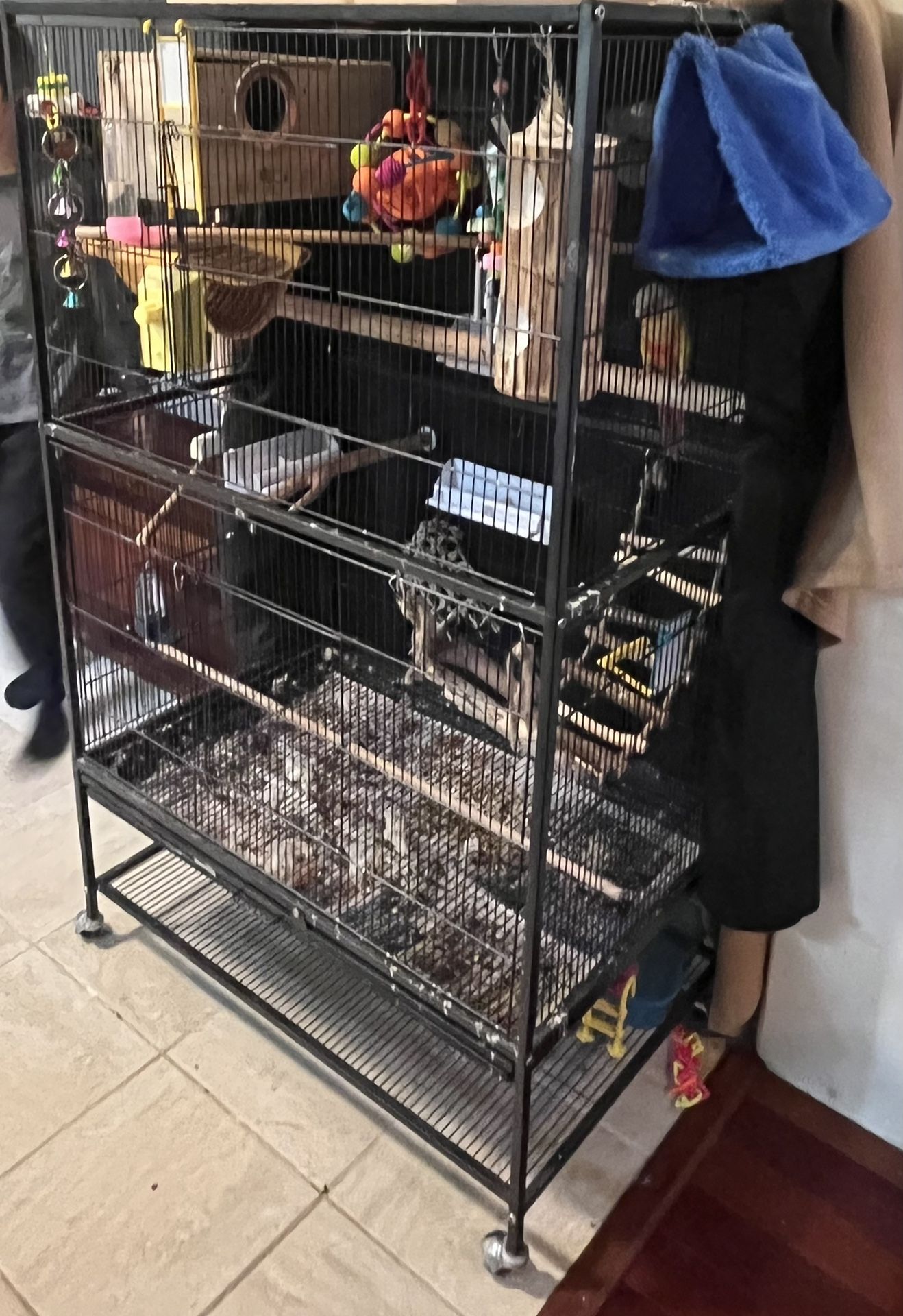 Bird Cage