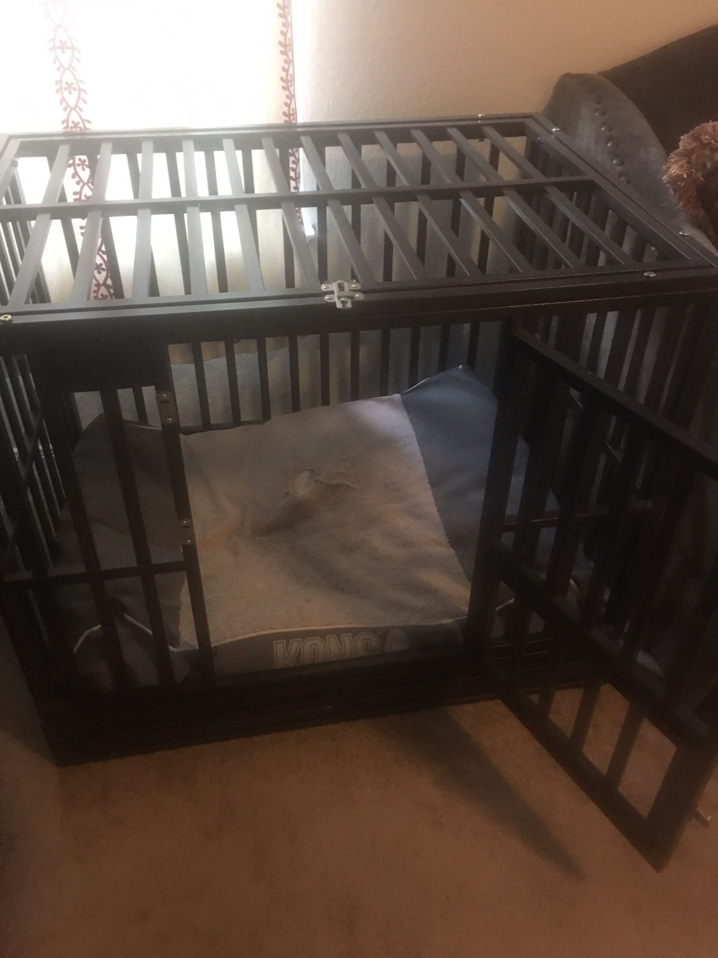 Steel Dog Crate / Kennel