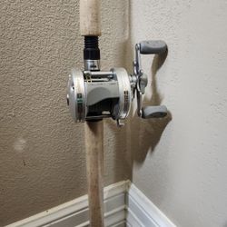 Abu Garcia Baitcast Combo