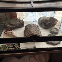 Gecko Tank