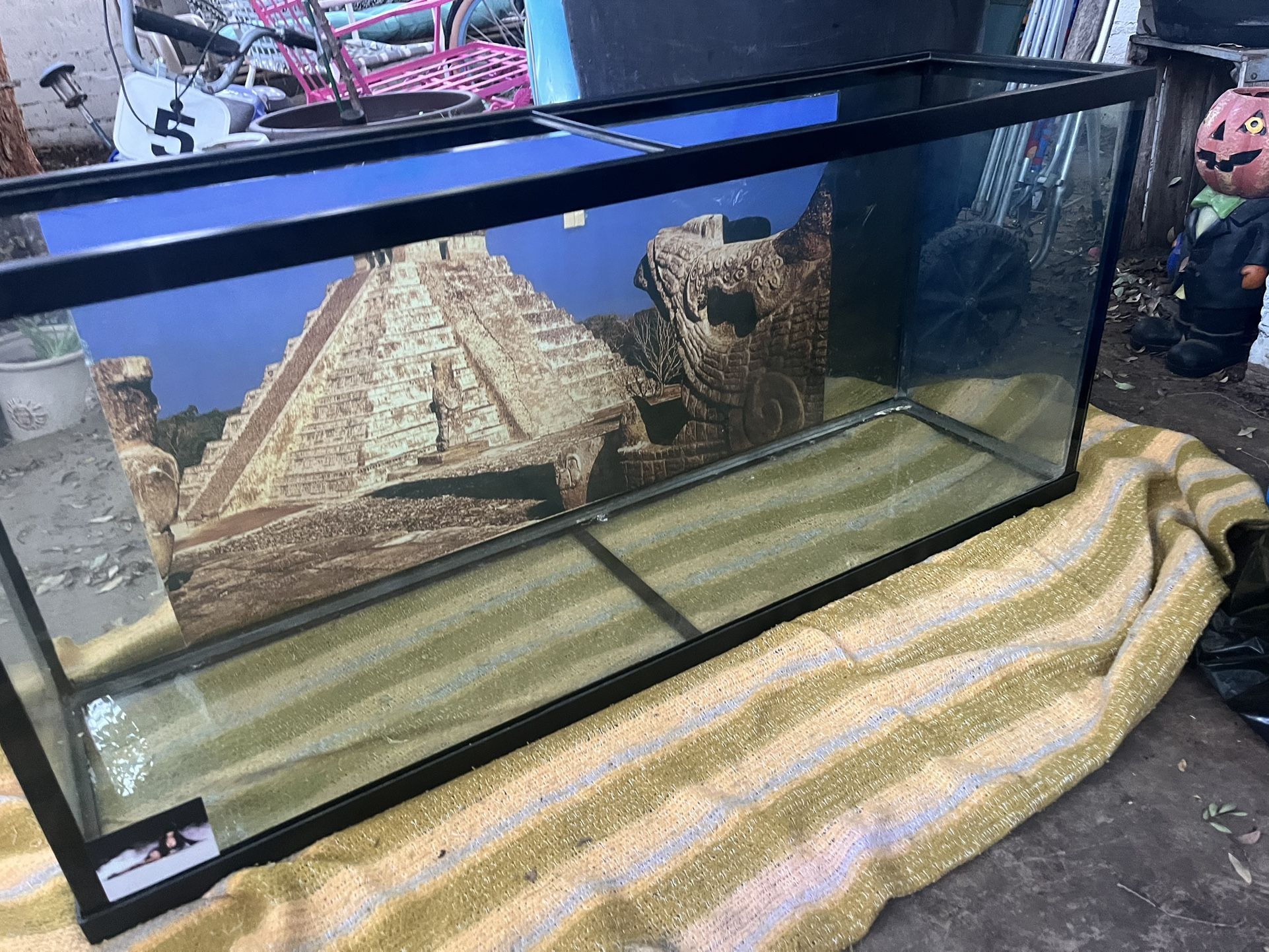 50 Gallon Aquarium