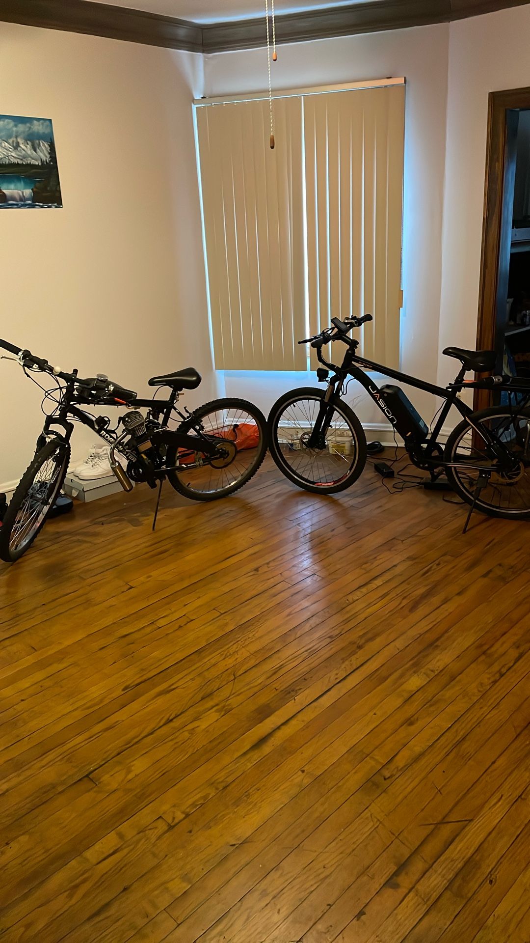 Gas And E-bike Forsale