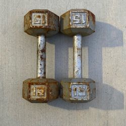 15lbs Weights