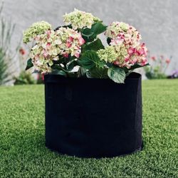 10 Gallon Fabric Grow Bags 