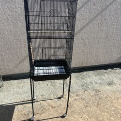 Bird Cage 