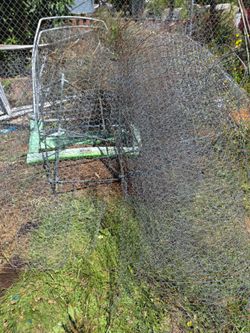 FREE chicken wire