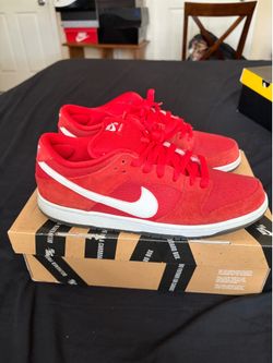 Nike Pro SB Dunks