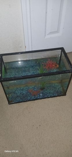 Fish Tank