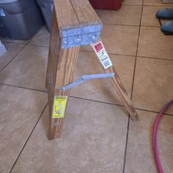 Werner Ladder