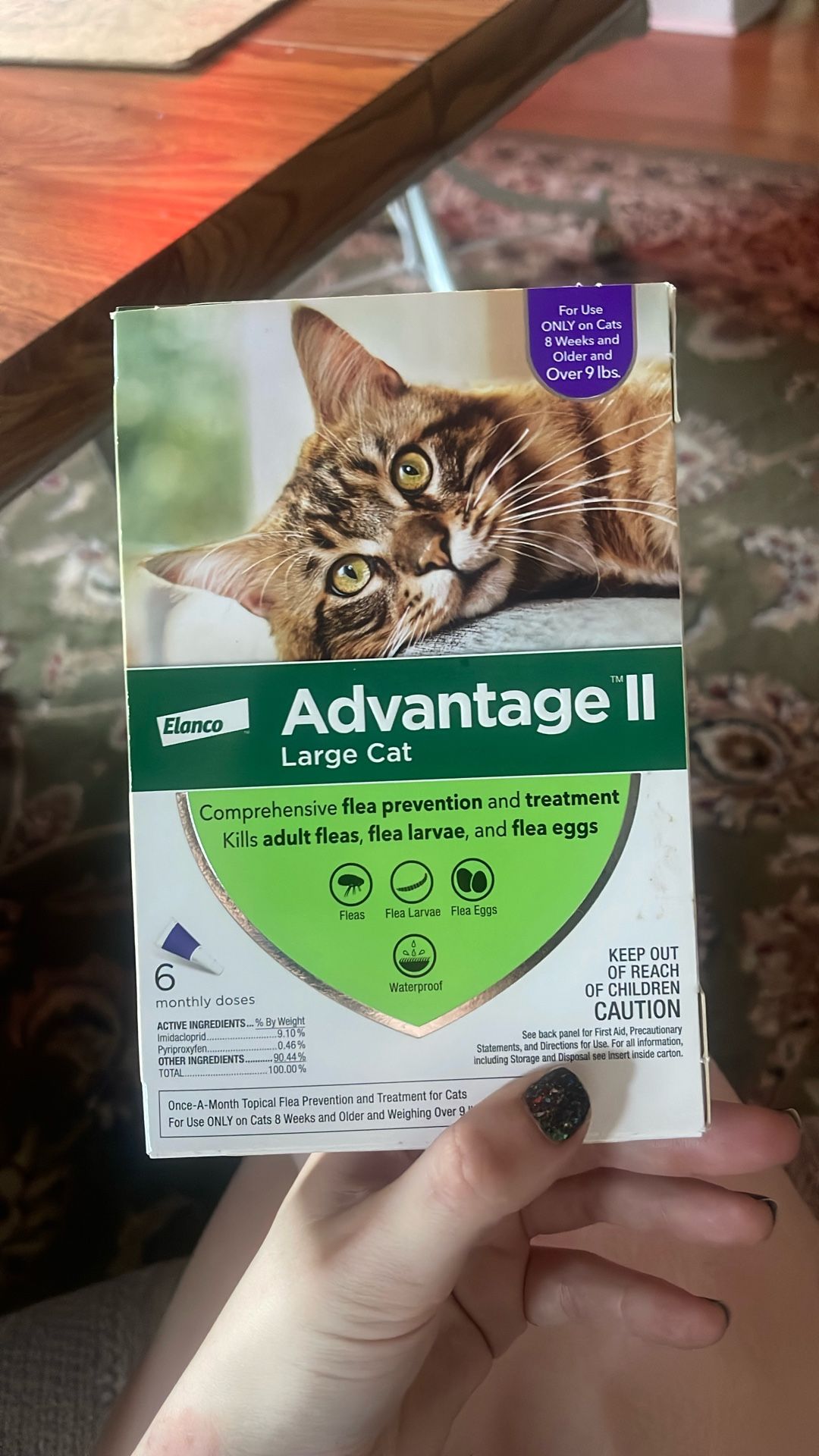 Cat Flea Treatment