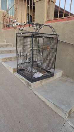 Bird cage