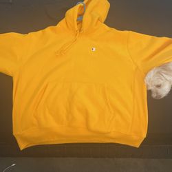 Champion Sweater 