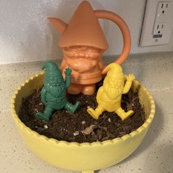 Flower Pot & Gnomes
