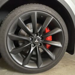 Tsportline tst deals