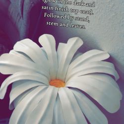 Giant High Density Foam Daisy 30” Diameter 