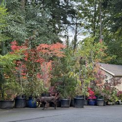 Awesome Fall Colors!! —