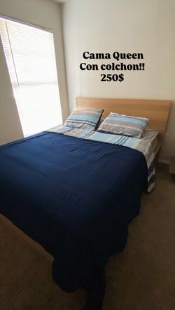 Bed Queen size