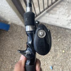 Daiwa Fishing Reels