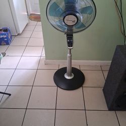 Rowenta Remote Control Fan Firm Price $65 