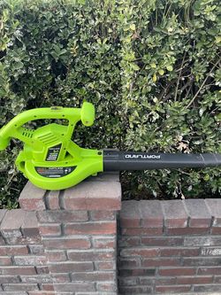 Leaf blower