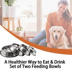 New Set Of 2 Stainless Steel Rubber Bottom Dog Food & Water Bowls Pet Feeding Bowls Easy Clean Tazones De Comida Para Perros