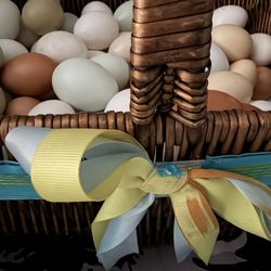 Fresh 🥚 Eggs 