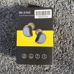 Hv -316T True Wireless Earbuds