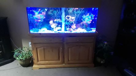55 inch aquarium w/ oak stand an cover