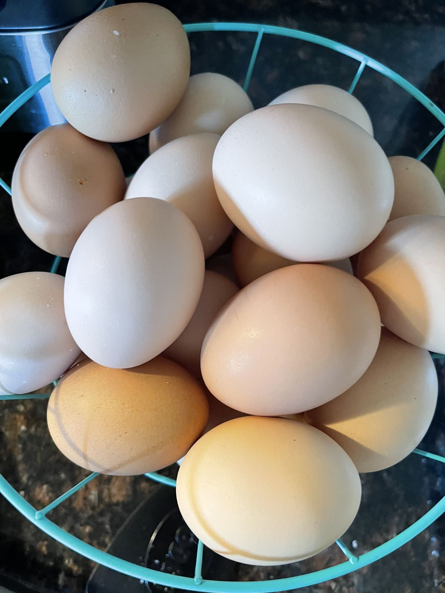 Fresh Eggs