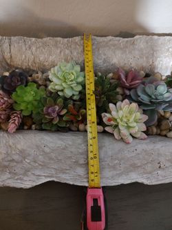 Tray with faux succulents