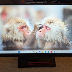 Lenovo ThinkVision 24in Monitor
