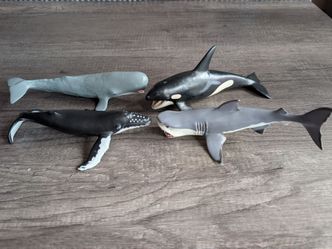 Whales and shark replica toys