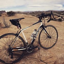 2015 Trek Domane 4.3 54cm
