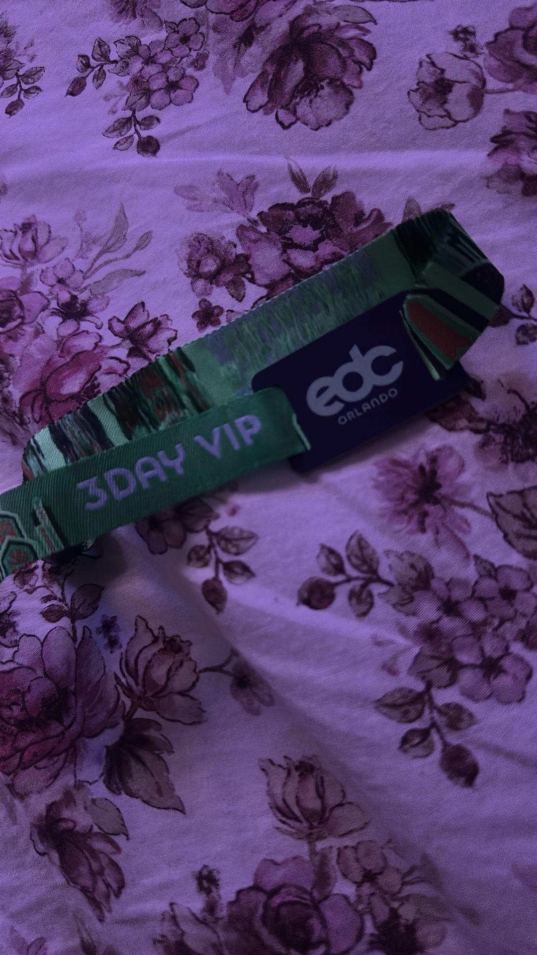 EDC Orlando VIP 