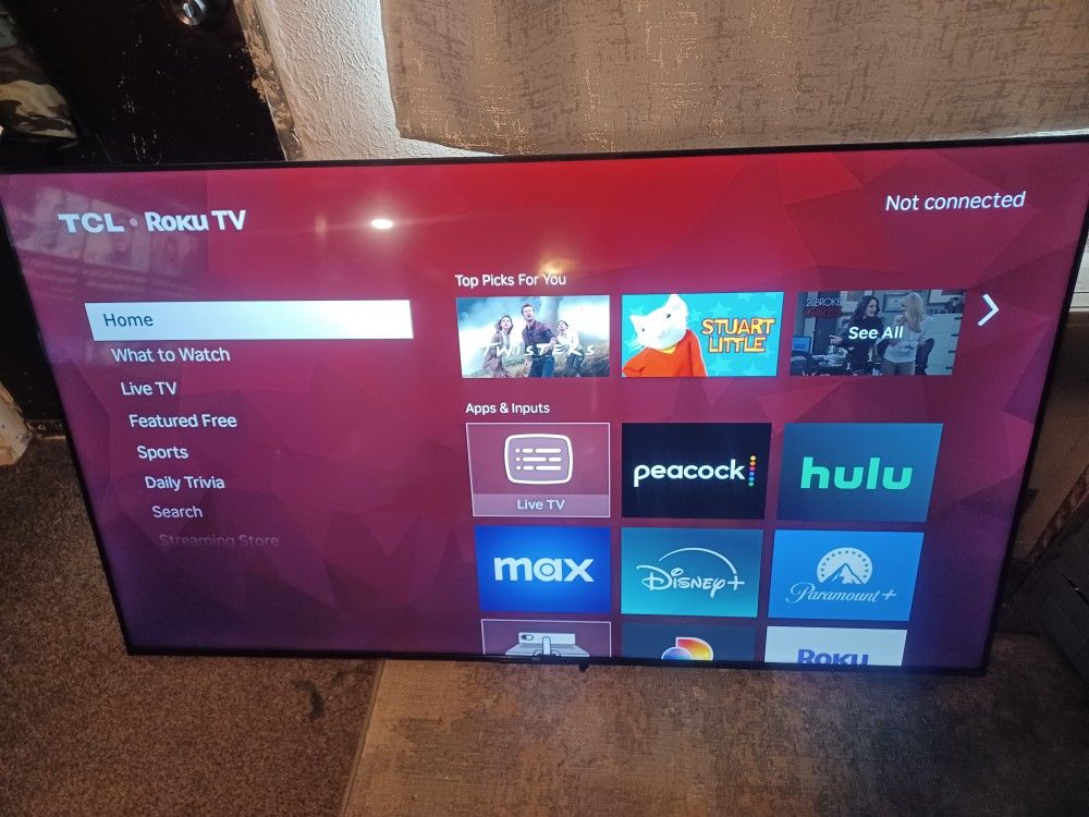 60-65 In Roku Tv