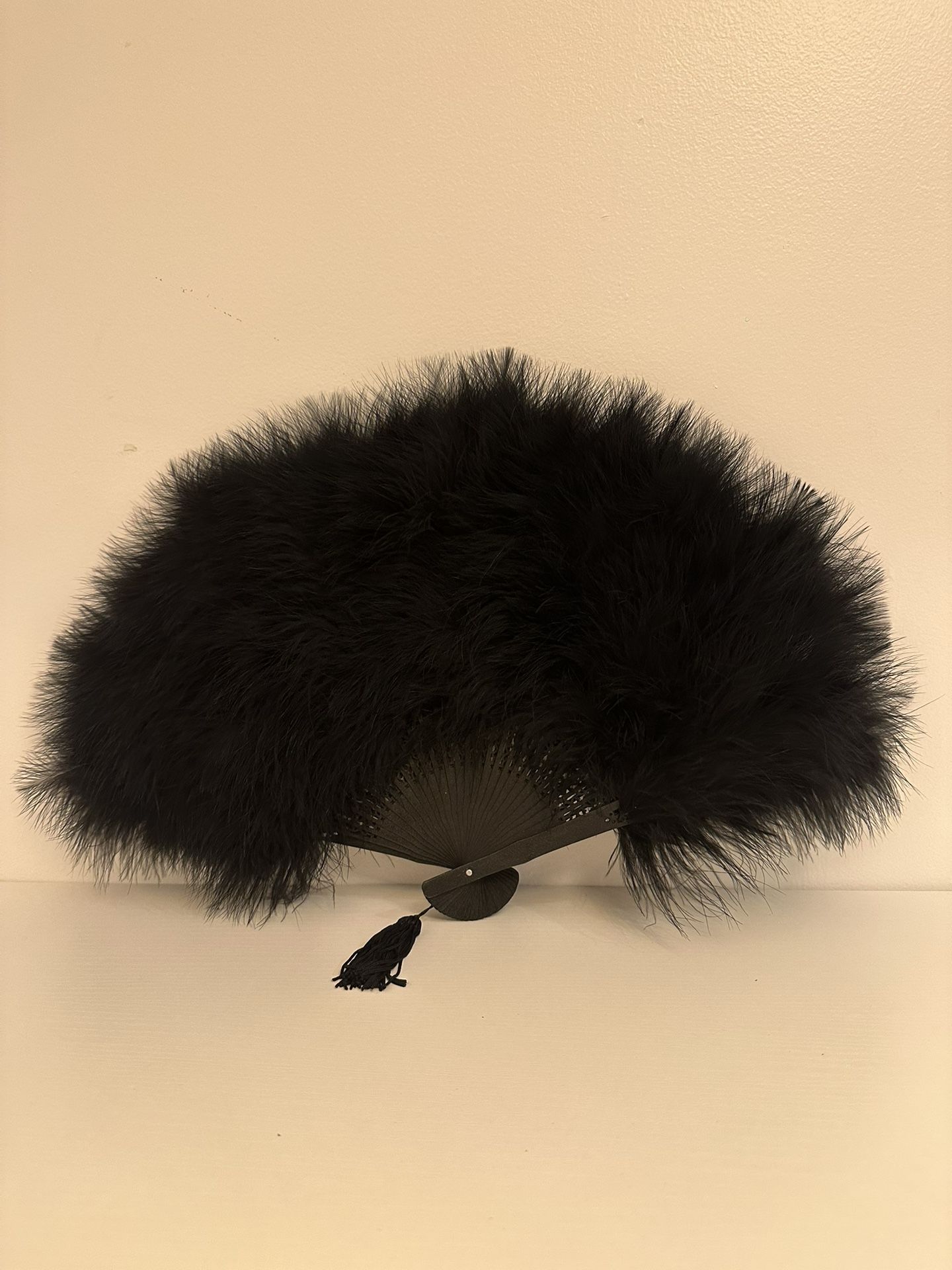Elegant Black Feather Fan