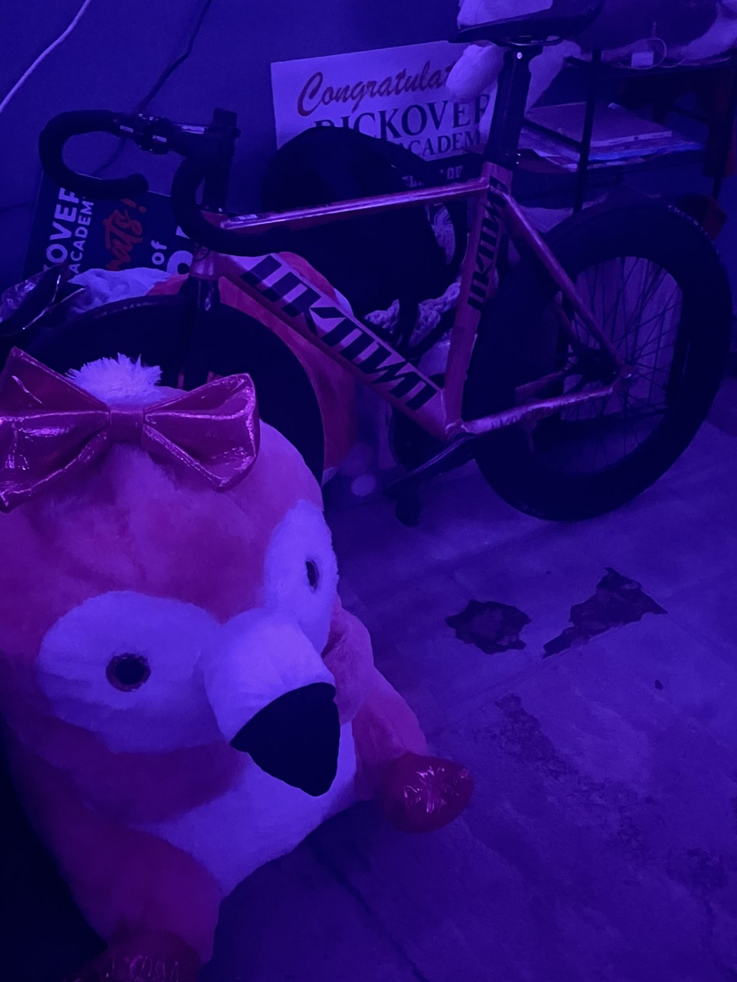 Pink Unkwown