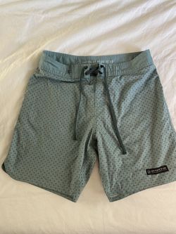 Men’s Size 32 United by blue Board shorts 