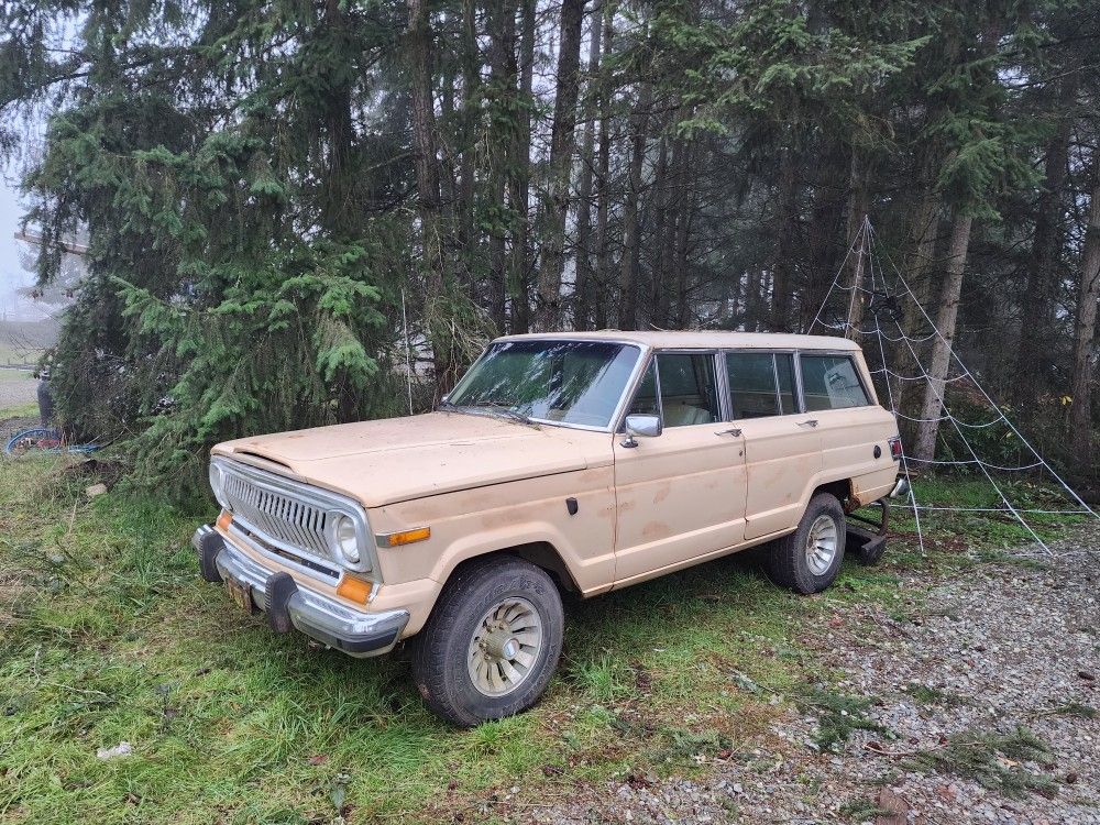 1980 Jeep Wagoneer 