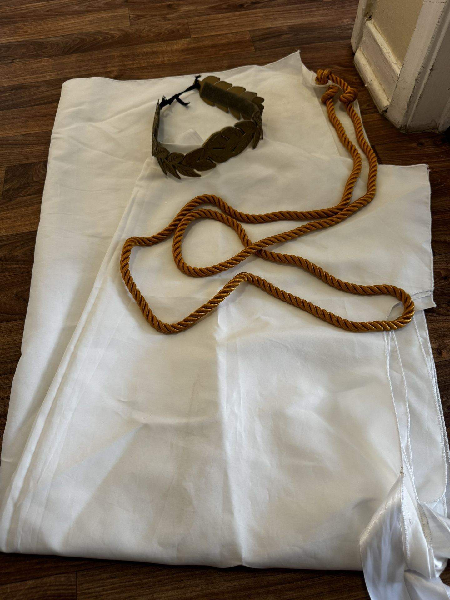 Rome Senator Costume