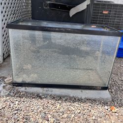 Aquarium Fish Tank