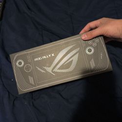 ROG ALLY X 1TB 