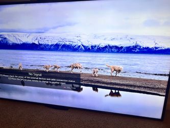 86' TV LG 2021