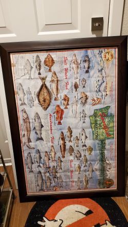 24 X 36 Poster Frame!